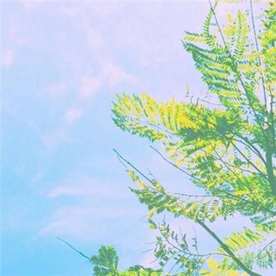 盛和网络手游王者传奇下载